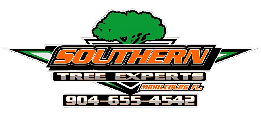 Southern Tree Experts GBP Full Color