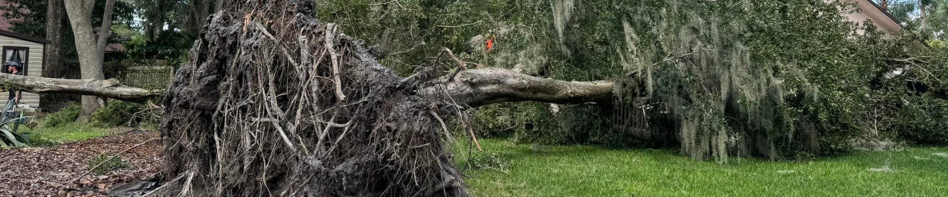 hero storm removal work